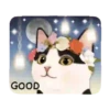 2Gato tierno mov 27