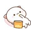 Mochi Cat 1  Movi 17