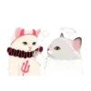 2Gato tierno mov 29
