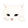 2Gato tierno mov 30