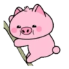 Naughty pig  .MOV 22