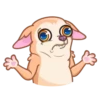 [CHIHUAHUA] ️ ️ 19