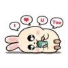 Rabbit Couple mov 29