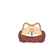 Un Perrito 29