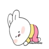Bunny JanjanMovi 24