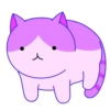 Cats 7