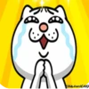 Angry CatMovi 5