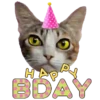 ️ feliz cumpleaños  .MOV 5