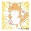 Orange CatMovi 5