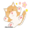Orange CatMovi 9