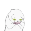White kitty Mov 6