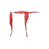 IT Clown 11