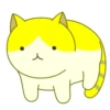 Cats 12