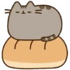 Pusheen and friends MOV 12