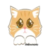 Orange CatMovi 11