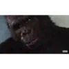 MONOS 11