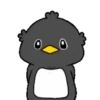 ️Chicken black  MOV 7