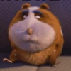 The Animals Crackers Mov 12