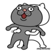 Angry CatMovi 9