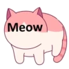 Cats 16