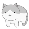 Cats 17
