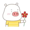 LovElY pig   MOV 11