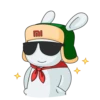 Mi Bunny Mov. 13