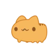 Bugcat Orange Mov 12 13