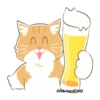 Orange CatMovi 14