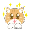 Orange CatMovi 15