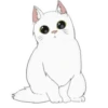 White kitty Mov 11