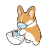 Perrito Prime  MOV. 11