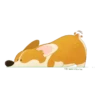 Perrito Prime  MOV. 13