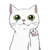 White kitty Mov 12