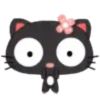 Cat Black 2  ‍ 16