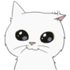 White kitty Mov 13