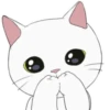 White kitty Mov 14