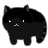 Cats 20