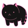 Cats 22