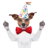 ️ feliz cumpleaños  .MOV 13