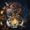 Psicodelia 16