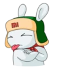 Mi Bunny Mov. 20