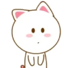 KiTtY WeChAt ♡ 14