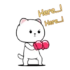 White Cat 2 .MOV 16