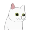 White kitty Mov 16