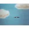 Bugs Bunny. Mov 16
