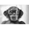 MONOS 20