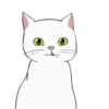 White kitty Mov 18
