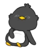 ️Chicken black  MOV 11