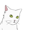 White kitty Mov 19